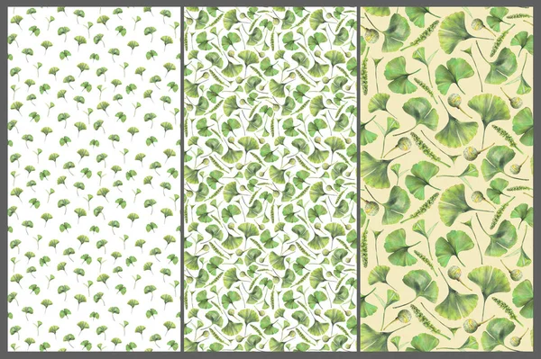 Set Mit Drei Nahtlosen Mustern Mit Grünen Blättern Von Ginkgo — Stockfoto