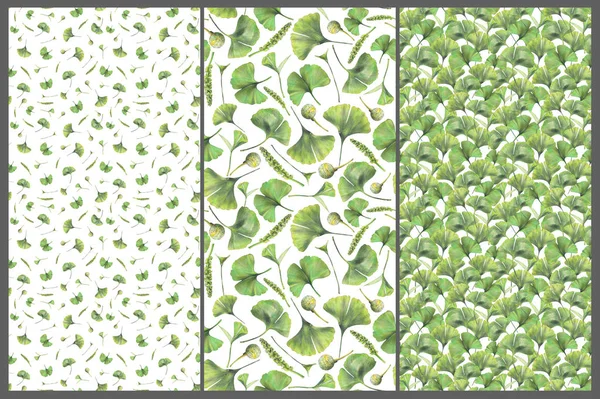 Ginkgo Biloba Yeşil Yaprakları Ile Dikişsiz Desen Ile Ayarlayın Çizimi — Stok fotoğraf