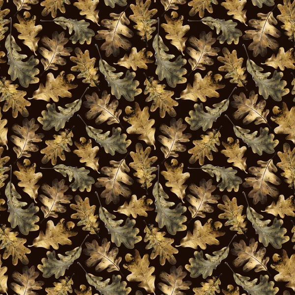Wzór Jesienią Złotych Liści Dębu Ilustracja Kredki Botaniczny Projekt Naturalne — Zdjęcie stockowe