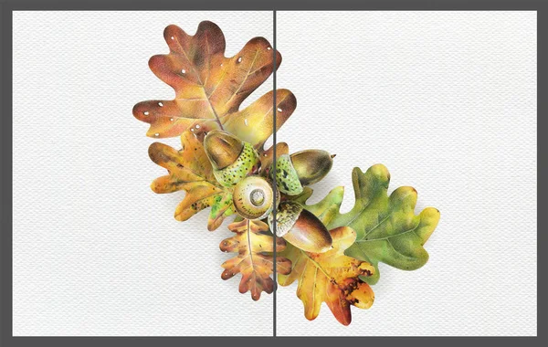 Set Two Template Cards Autumn Oak Leaves Acorns Invitation Poster — Stock Photo, Image