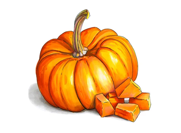 How to draw a happy Halloween pumpkin by ImagiDraw on DeviantArt
