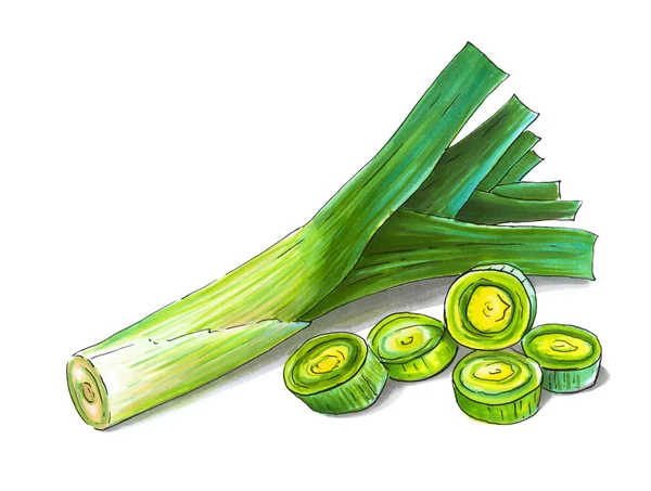 五颜六色多汁的绿色洋葱葱的插图 绘制酒精标记有用的蔬菜 — 图库照片