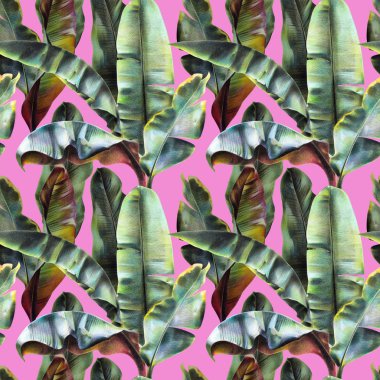 Muz ile Seamless modeli pembe bir arka plan üzerinde bırakır. Tropikal arka planda pop sanat tarzı kumaş, duvar kağıtları, Tekstil için. İllüstrasyon renkli kalemler ile.