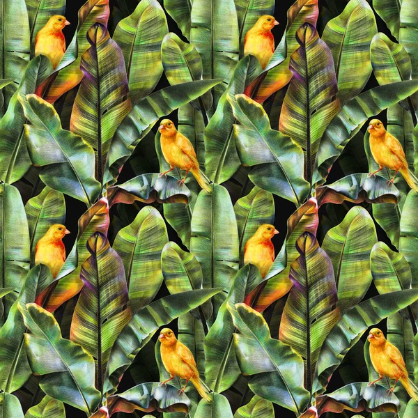 Seamless Pattern Banana Leaves Yellow Birds Dark Background Tropical Background — Stock Photo, Image