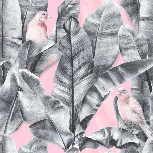 Padrão Sem Costura Com Folhas Banana Pássaros Exóticos Fundo Rosa — Fotografia de Stock