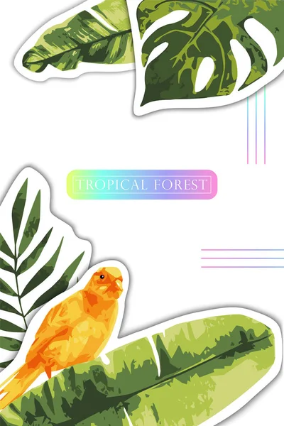 Fond Vectoriel Avec Des Feuilles Tropicales Vertes Banane Monstère Oiseau — Image vectorielle