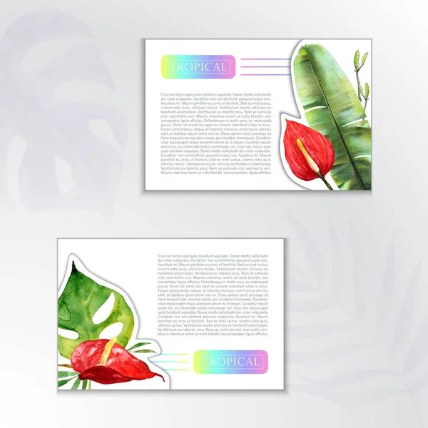 Conjunto Fundos Aquarela Duas Cartas Com Folhas Tropicais Verdes Banana — Fotografia de Stock