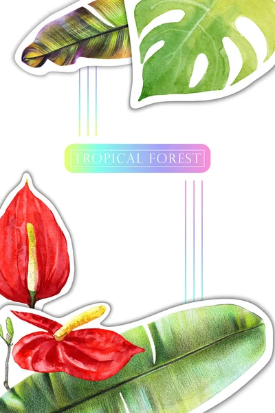 バナナ モンスター 赤いアンスリウムの水彩緑の熱帯葉の背景 エキゾチックな植物とテキスト 広告やその他の情報のための場所と夏のテンプレート — ストック写真