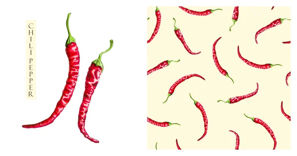 Κόκκινες Πιπεριές Τσίλι Απομονωμένες Λευκό Φόντο Υδατογραφικά Σχέδια Λαχανικά Ωμό — Φωτογραφία Αρχείου