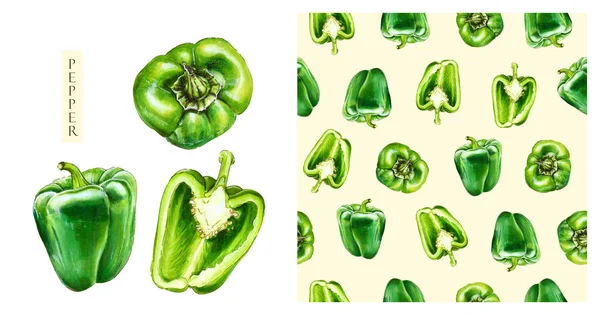 Peperoncino Verde Isolato Fondo Bianco Acquerello Modello Senza Soluzione Continuità — Foto Stock