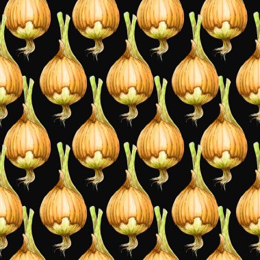 Sarı soğan. Suluboya, dikişsiz sebze deseni, çiğ sarı soğan. Elle çizilmiş sağlıklı yiyecekler.