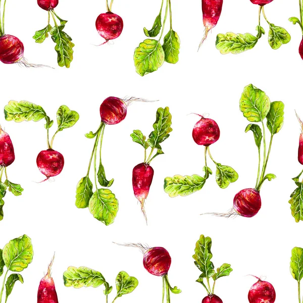 Illustration Radis Rouge Aquarelle Motif Sans Couture Légumes Radis Cru — Photo