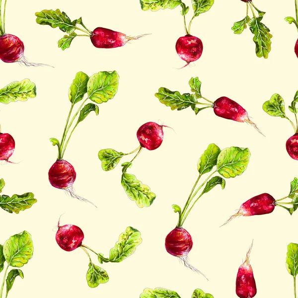 红色萝卜插图 水彩无缝的蔬菜图案 生萝卜 手绘健康食品 — 图库照片