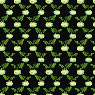 Yeşil kohlrabi illüstrasyon. Sebze suluboya dikişsiz desen, çiğ yeşil kohlrabi lahana. Elle çizilmiş sağlıklı gıda.