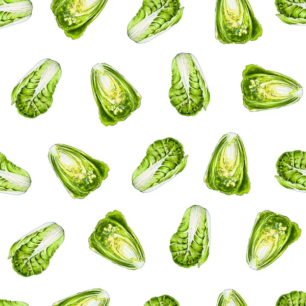 大白菜插图 水彩无缝的蔬菜图案 生青白菜 手绘健康食品 — 图库照片