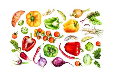 Suluboya Sebzeler Clipart. Yaz yemeği sanatı. Biber, lahana, soğan ve diğer sebzeler..