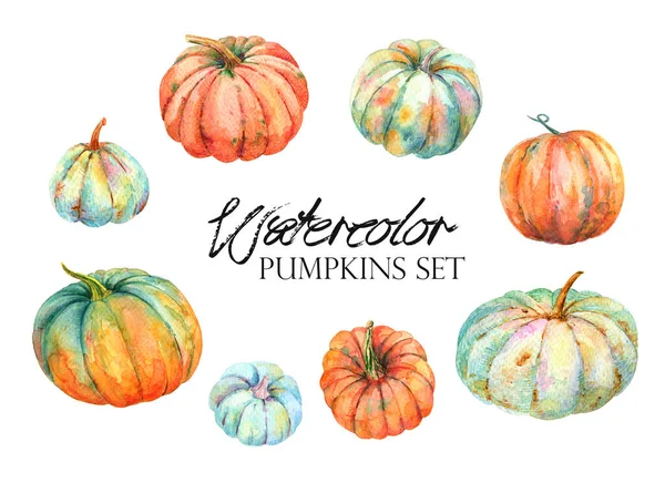 Autunno Acquerello Zucca Vintage Farm Clipart Raccolta Autunnale Zucca Arancione — Foto Stock