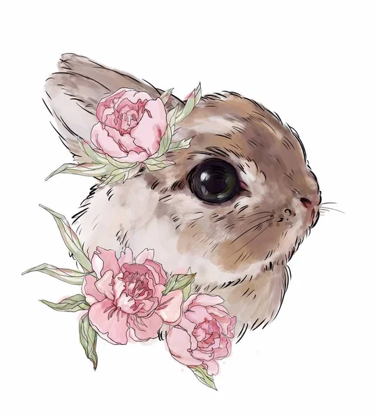 beige, powdery rabbit with pink poppy flowers, cute children\'s illustration, best t-shirt print, animal print with peonies. rabbit on a white background