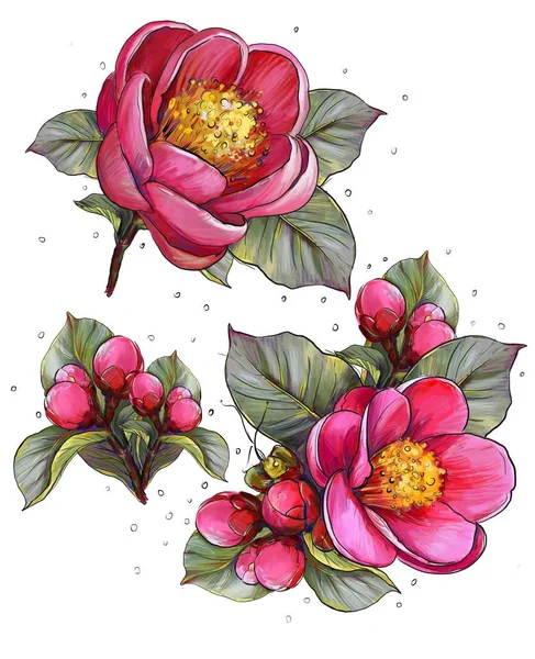 Flores Tropicais Flores Rosa Ilustração Conjunto Flores Paraíso — Fotografia de Stock