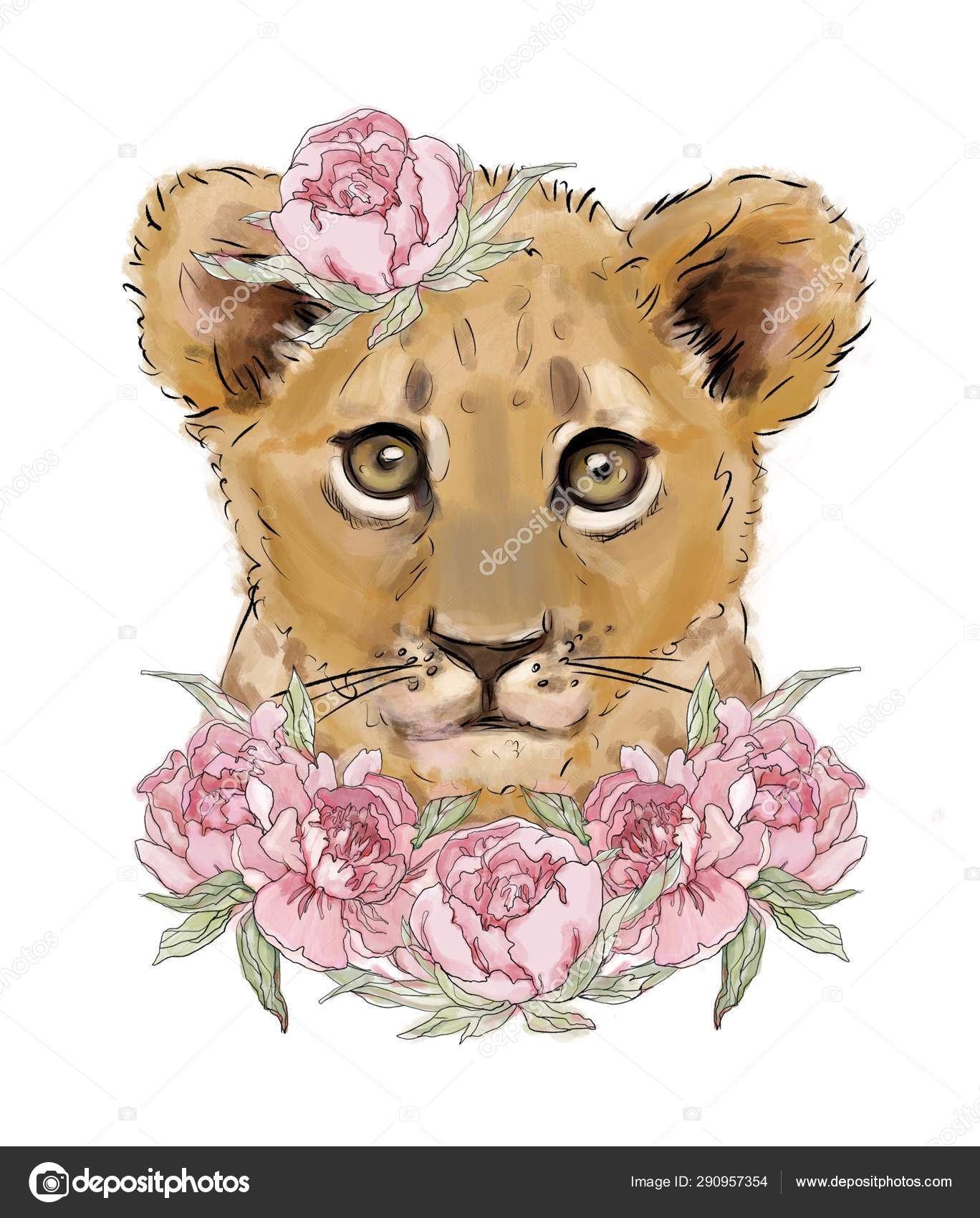 Cute Lion Cub Peony Flowers Lion Isolated White Background Best Stock  Illustration by ©Pure_radiant_art #290957354, image size:1368x1700