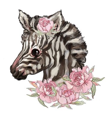 güzel hayvan, pembe şakayık güzel zebra. kişisel tasarım, kartlar, giysiler için illüstrasyon. en iyi t-shirt baskılar. kesilmiş hayvan 