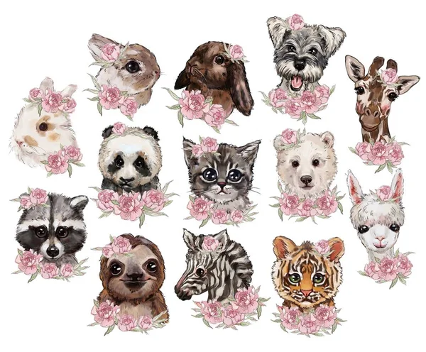배경에 귀여운 동물의 집합입니다 티셔츠 디자인 스티커 힙스터 고양이 북극곰 — 스톡 사진