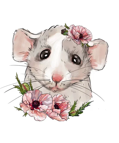Niedliche Ratte Pfingstrosenblüten Auf Isoliertem Weißem Hintergrund Jahr Der Ratte — Stockfoto