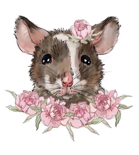 Cute Szczur Piwonii Kwiatów Białym Tle Białe Rok Szczura Symbol — Zdjęcie stockowe