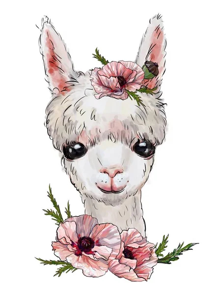 Schattige Lama Witte Lama Met Bloemen Kinderachtige Illustratie Animal Print — Stockfoto