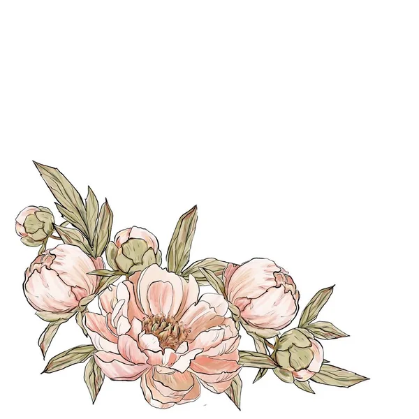 Cornice Fiori Peonia Illustrazione — Foto Stock