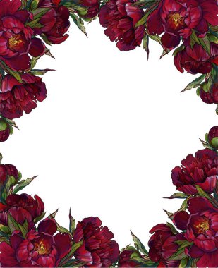 bordo şakayık, çerçeve illüstrasyon, çiçek çerçeve, kartpostal