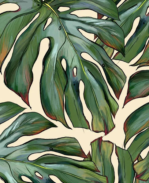 熱帯ヤシの葉イラスト — ストック写真