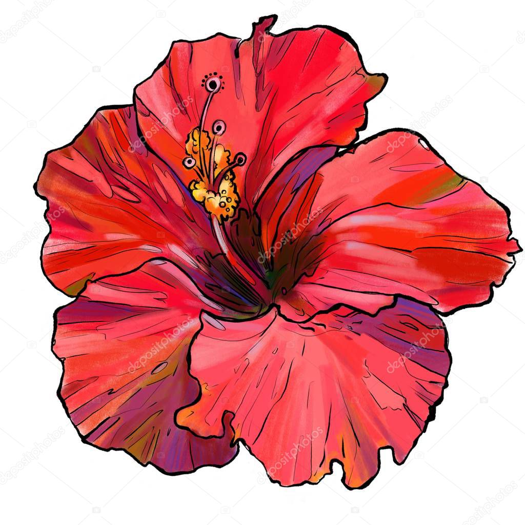 red flower, tropical flower, tropics, exotic. exotic flower 