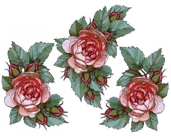 Набір Троянд Квітів Рамки Квітів Весільна Тема — стокове фото