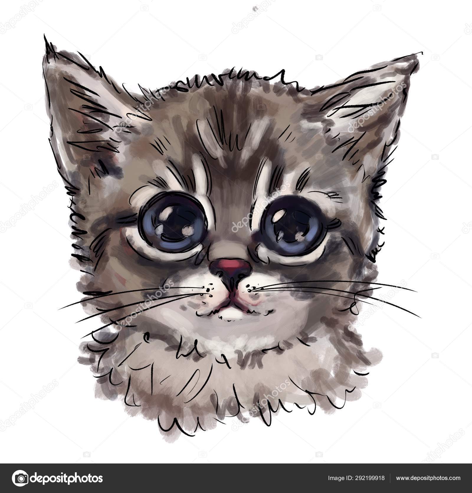 Cute Cat Best Shirt Prints Children's Illustration Clothing Design Animated  Stock Photo by ©Pure_radiant_art 292199918