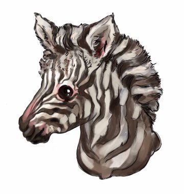 Güzel hayvan, güzel zebra. kişisel tasarım, kartlar, giysiler için illüstrasyon. en iyi t-shirt baskılar. sevimli hayvan 