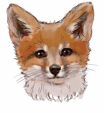 beyaz bir arka plan üzerinde renklerde kırmızı tilki, t-shirt, hipster, kişisel tasarım için baskı üzerine baskı. elle çizilmiş vahşi hayvan 