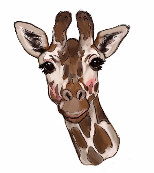 Cute Giraffe Illustration Isolated White Background Shirt Print Card Giraffe — Stock Photo, Image