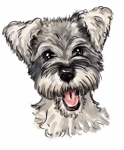 Desenho De Cachorrinho Feliz Em Animado Páginas Para Colorir Preto E Branco  Esboço Livro Vetor PNG , Desenho De Carro, Desenho De Desenho Animado,  Desenho De Livro Imagem PNG e Vetor Para