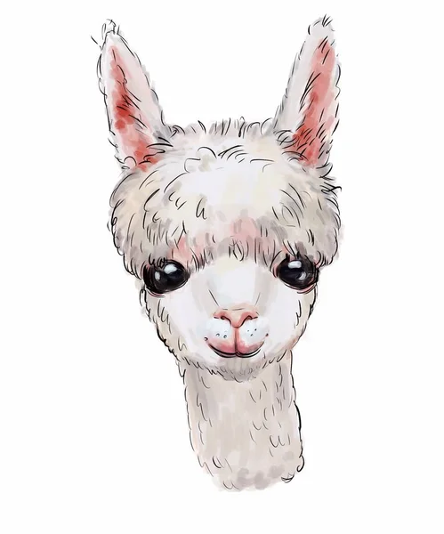 Schattige Lama Witte Lama Kinderachtige Illustratie Animal Print Kleding Wilde — Stockfoto