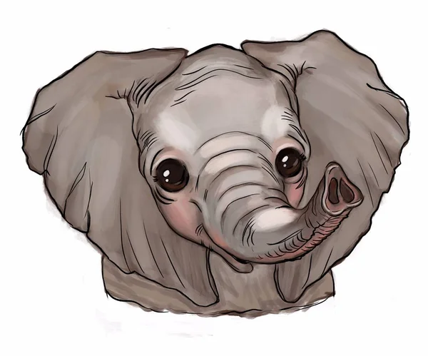 배경에 귀여운 코끼리 티셔츠 손으로 어린이 포스터 스타일입니다 코끼리 — 스톡 사진