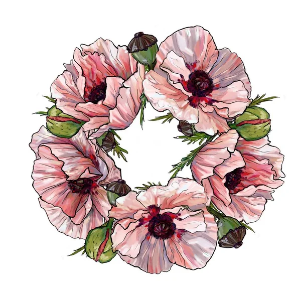 Рожева Рамка Макових Квітів — стокове фото