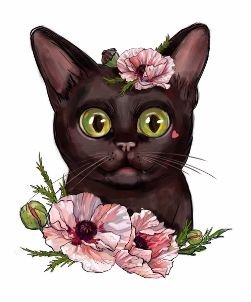 Beyaz Arka Plan Üzerinde Izole Pembe Çiçeklerile Sevimli Kedi — Stok fotoğraf