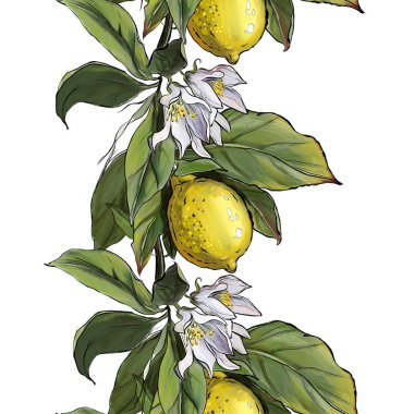 Çiçek ve yapraklı limonlar, kartpostal