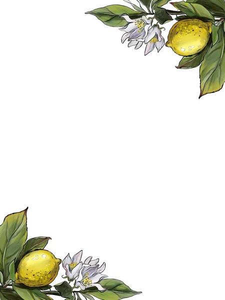 Citroner Med Blommor Och Löv Ram Illustration Ram Blommor Vykort — Stockfoto