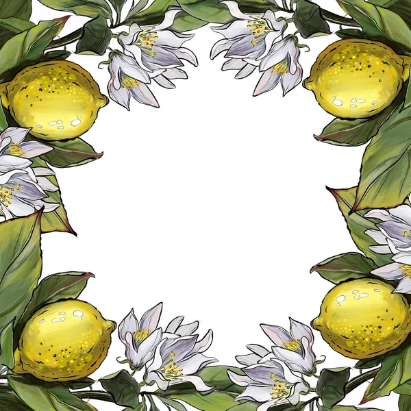 Limones Con Flores Hojas Ilustración Del Marco Marco Flores Postal — Foto de Stock