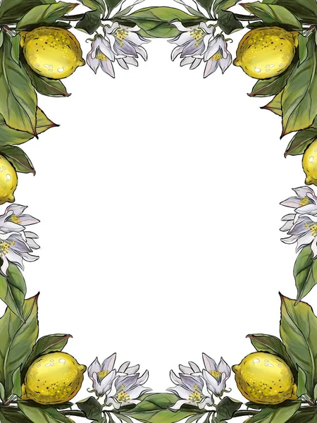 Лимони Квітами Листям Листівка — стокове фото