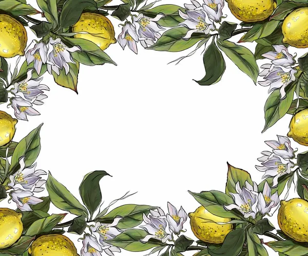 Lemons with flowers and leaves, frame illustration, frame of flowers, postcard