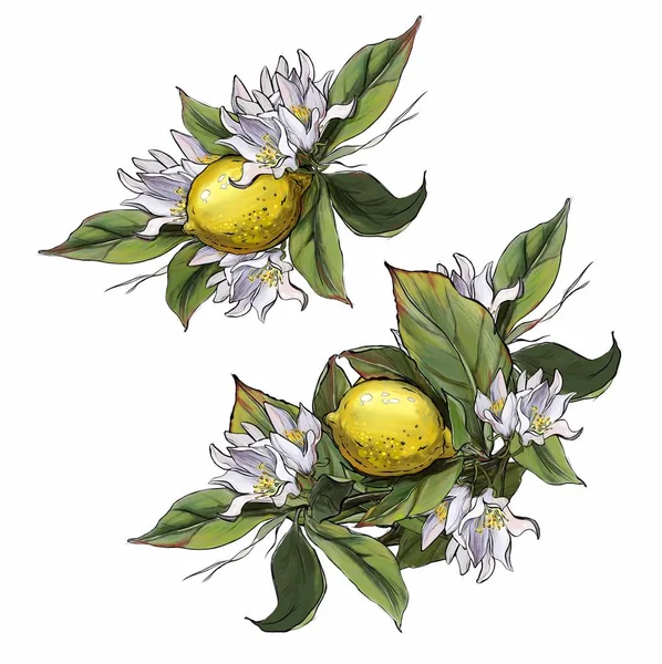 Citrony Květinami Listy Pohlednice — Stock fotografie