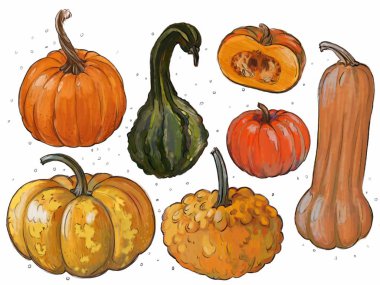 Sonbahar kabakları, kabaklar ve beyaz arka plan üzerinde squashes